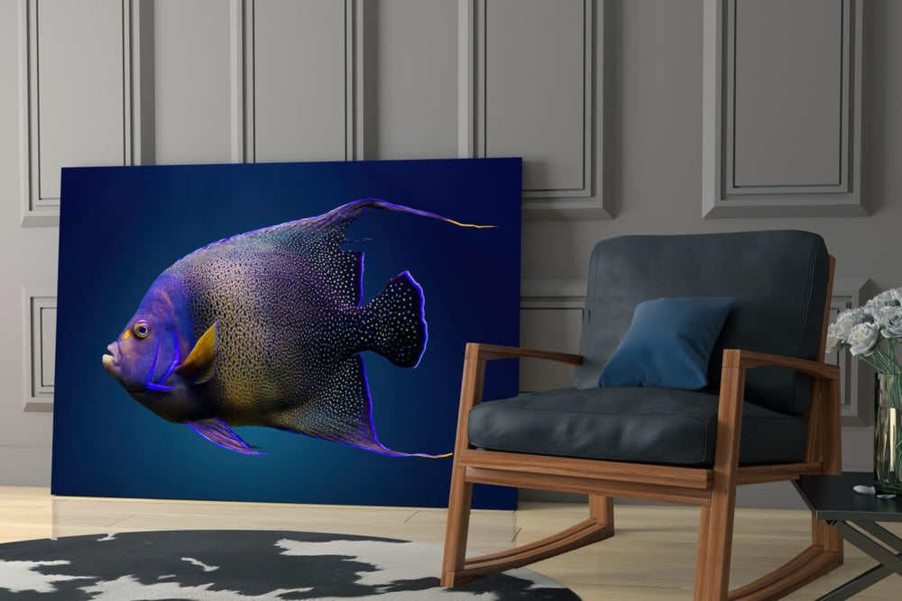 Queen Angelfish glass print enhancing a hallway with cinematic mood