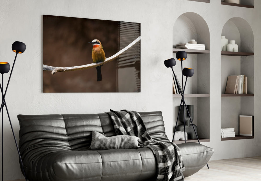 Bee Eater glass wall art styled above a bed in a bedroom