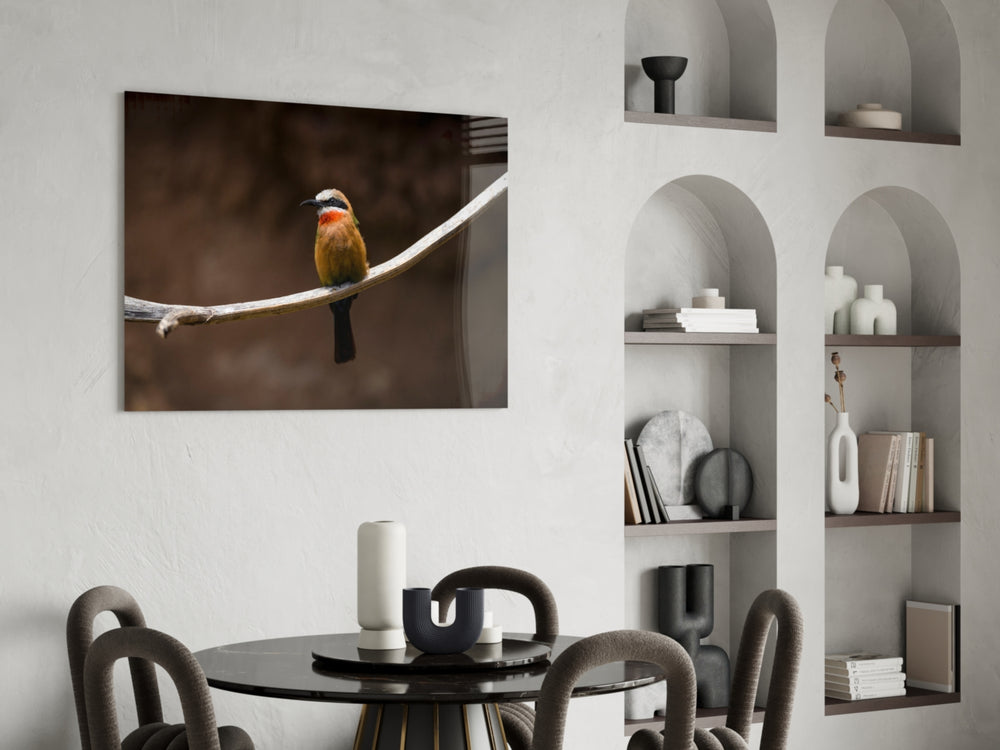 Bee Eater panel adding editorial calm to an office