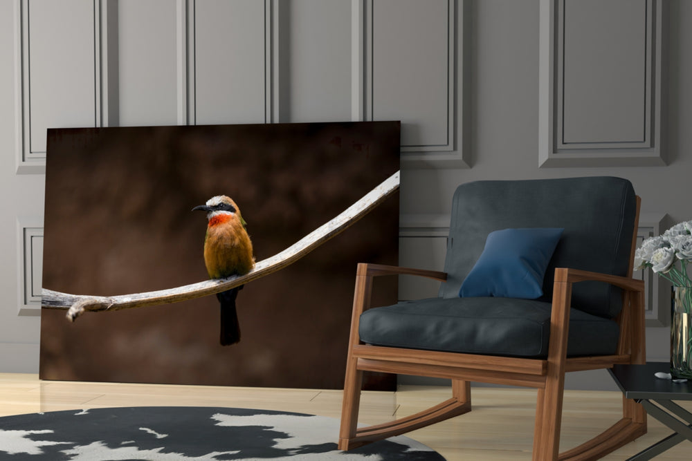 Bee Eater glass print enhancing a living room with cinematic warmth