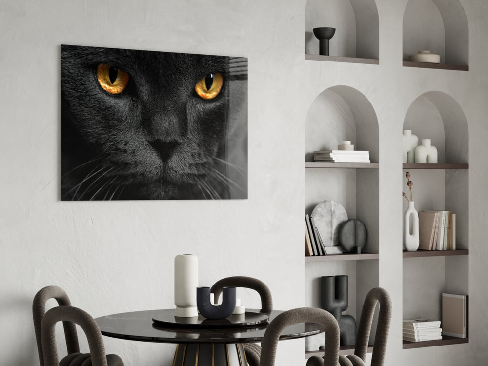 Cat panel adding editorial mood to an office