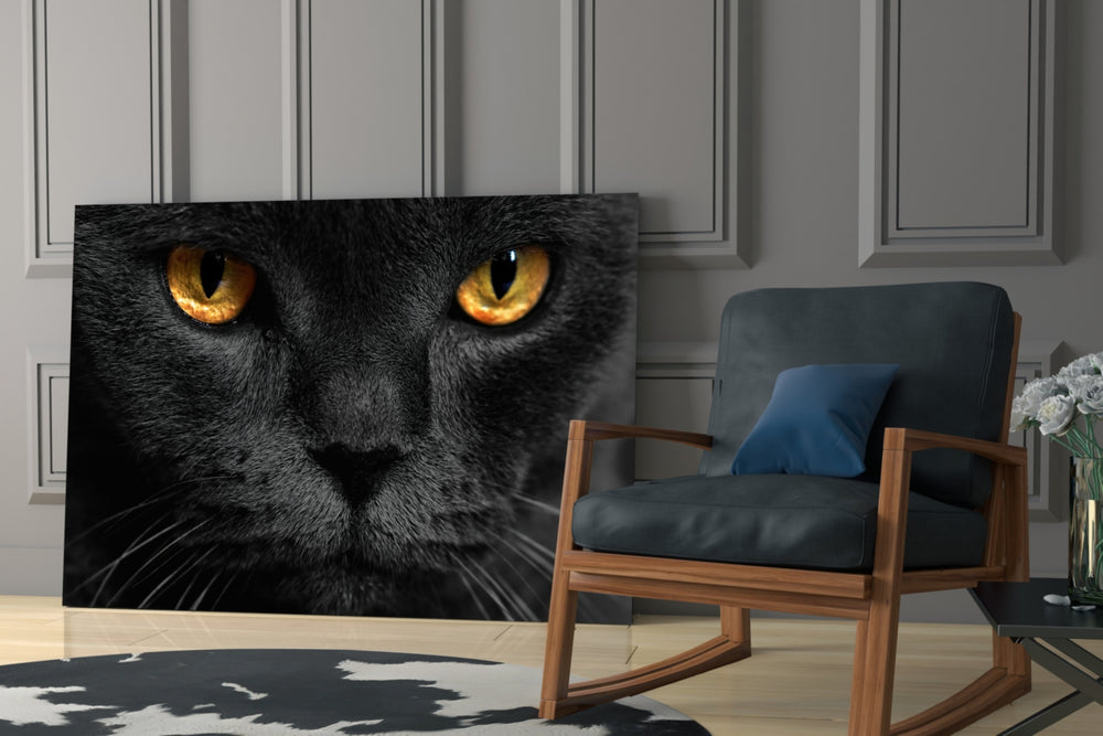 Cat glass print enhancing a living room with cinematic gravity