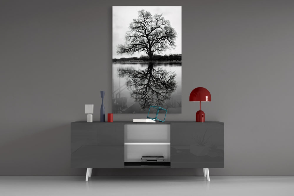 Tree panel catching daylight to reveal its serene gravity