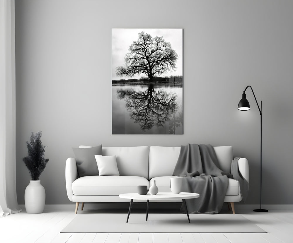 Tree close-up showing bare branch silhouette mirrored on still lake water