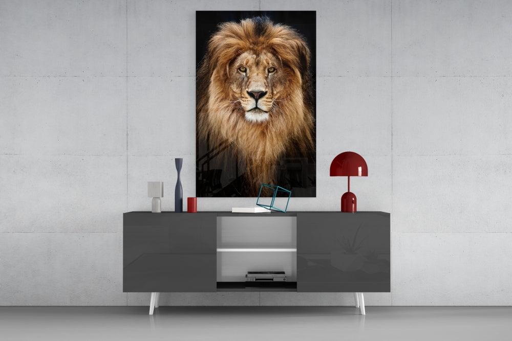 Lion panel catching low light to reveal its dramatic gravity
