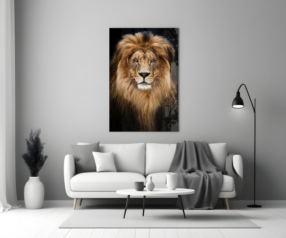 Lion close-up showing mane-haloed head with amber eyes against onyx void