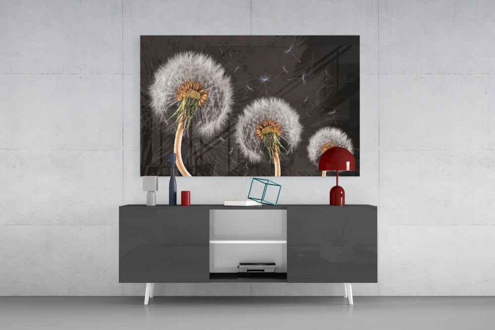 Dandelions panel catching low light to reveal its delicate gravity