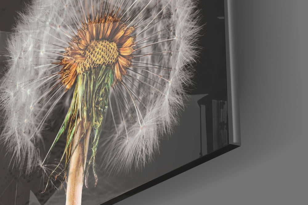 Dandelions artwork anchoring a wall with dark dreamy palette