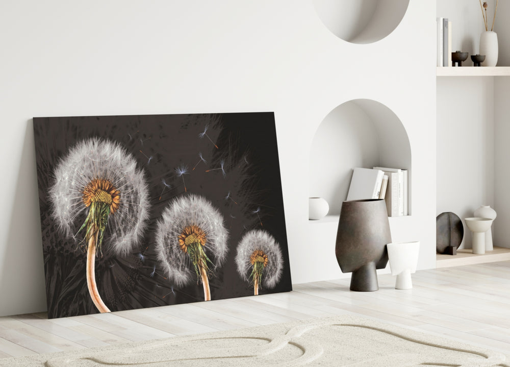 Dandelions close-up showing three seed heads with floating silken seeds on charcoal