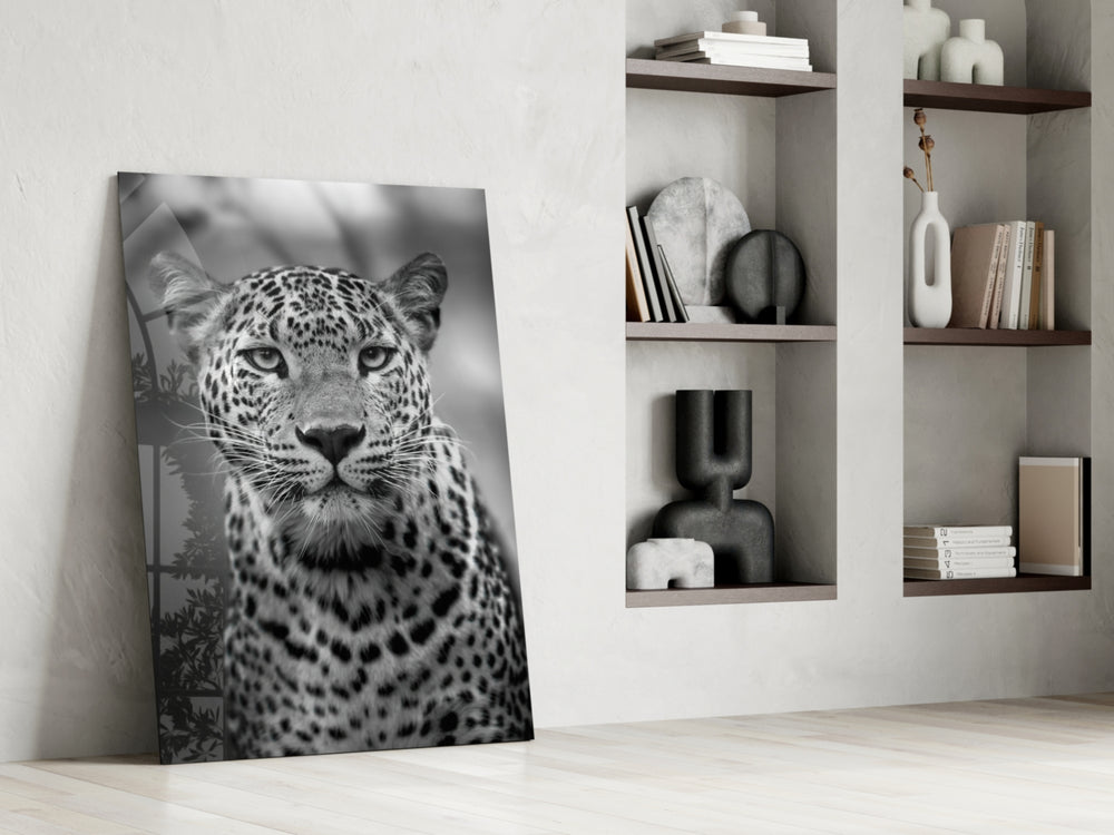Leopard glass print enhancing a hallway with cinematic gravity