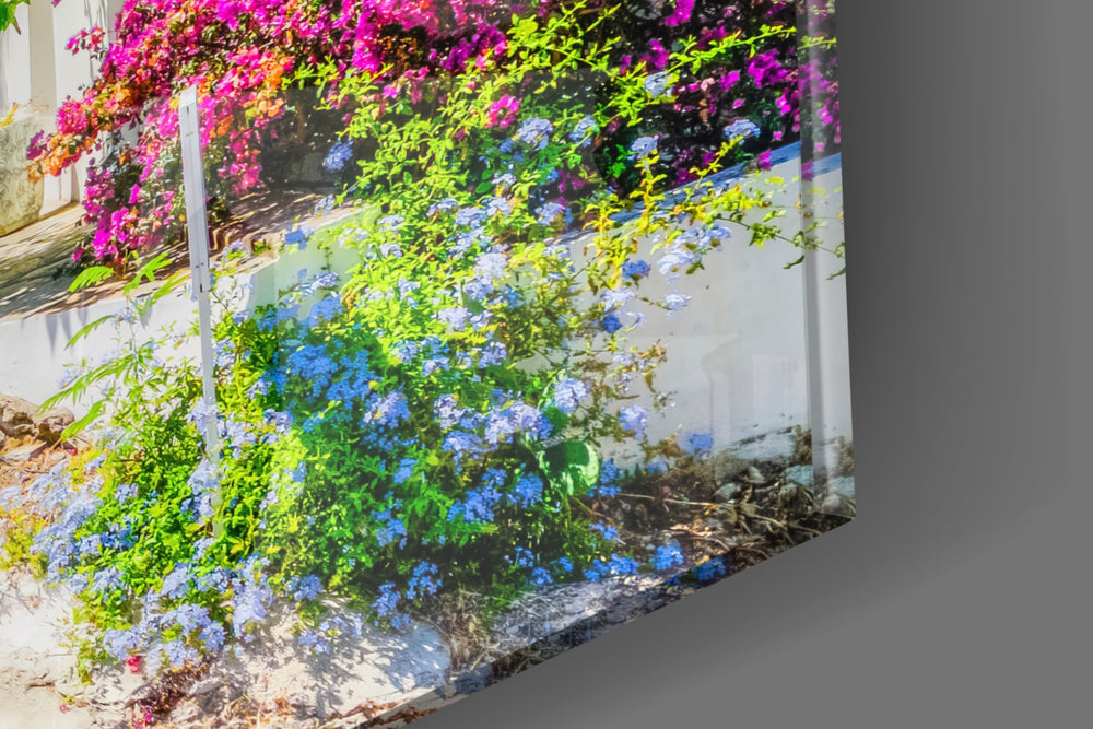 Aegean Beauties artwork anchoring a wall with bright naturalist palette