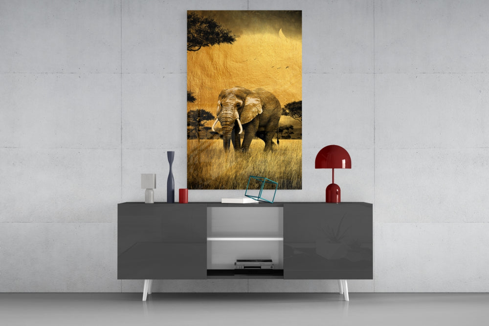 Elephant panel catching directional light to reveal its sun-warmed gravity