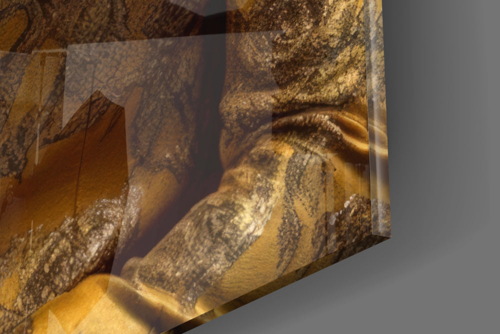 Lion Vogue panel catching lamp light to reveal its cinematic glow