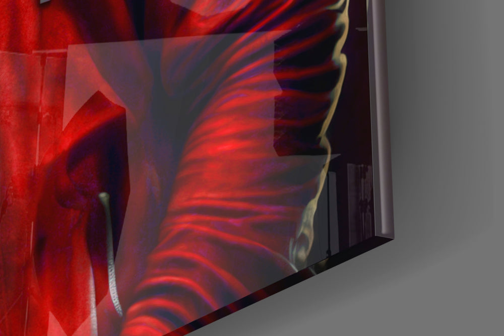 Animal Vogue panel catching lamp light to reveal its cinematic glow