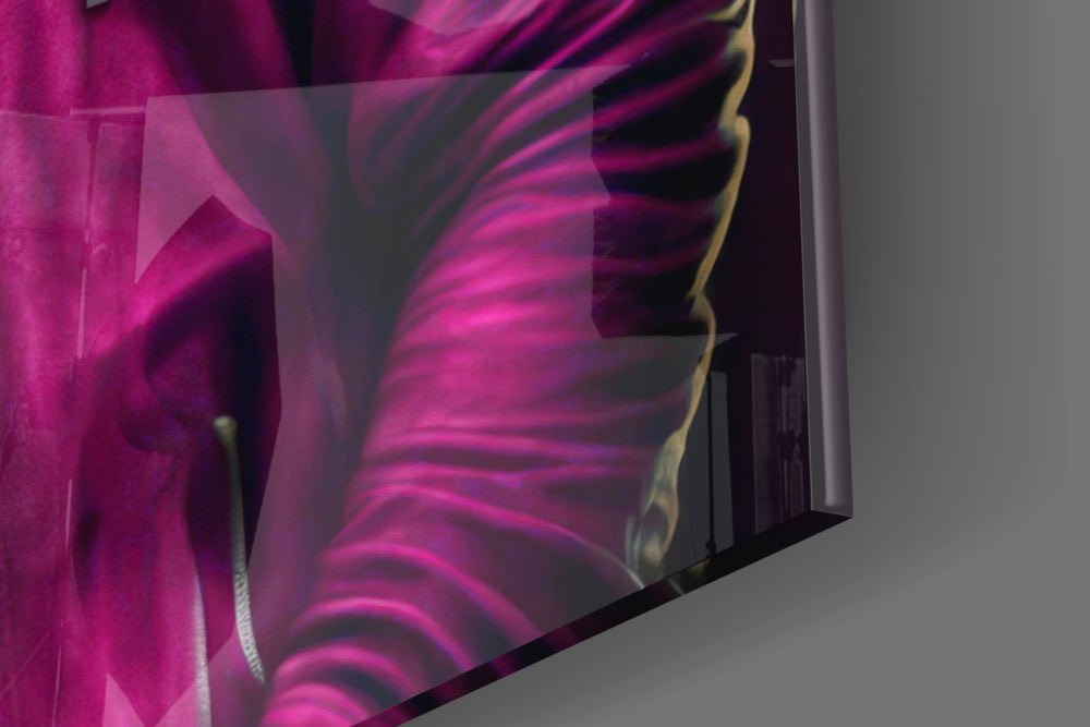 Animal Vogue panel catching lamp light to reveal its cinematic glow