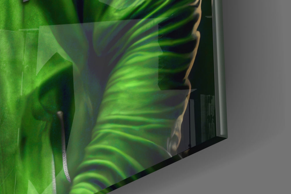 Animal Vogue panel catching lamp light to reveal its cinematic glow