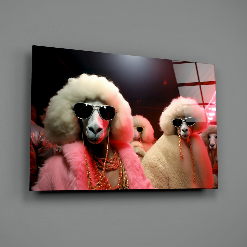 City Music close-up showing poodle duo in pink coats and sunglasses