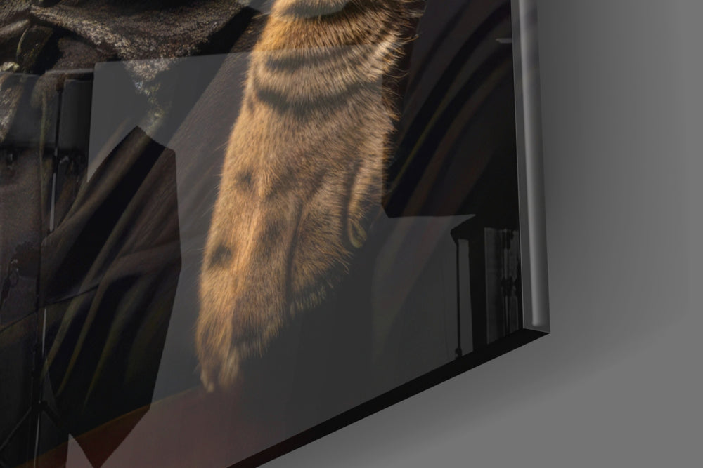 The Boss panel catching lamp light to reveal its cinematic glow