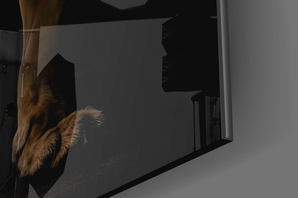 Lion in the Dark panel catching lamp light to reveal its cinematic glow