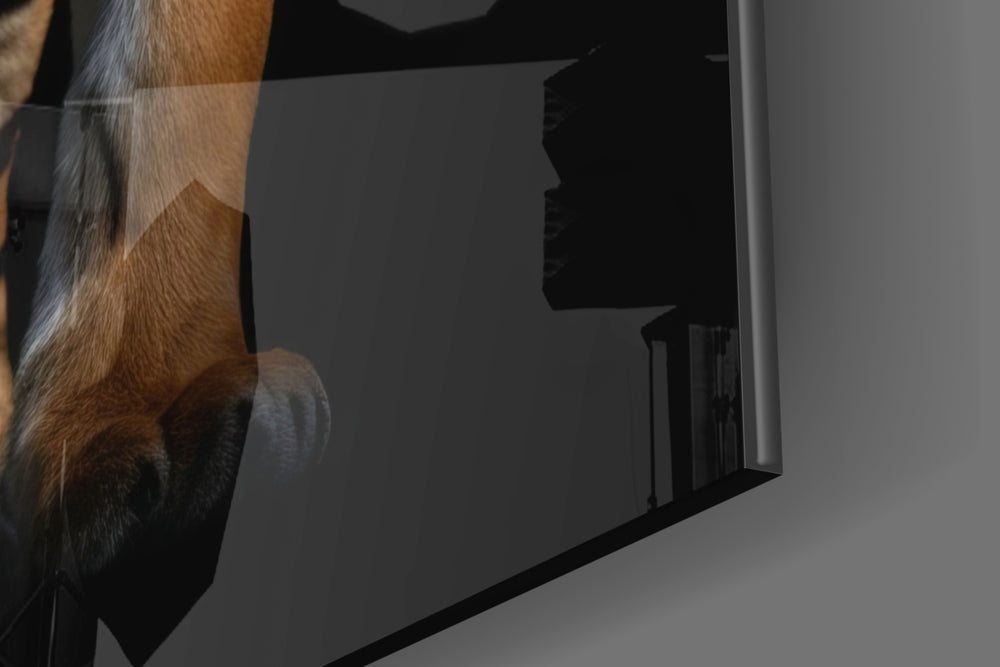 Tiger in the Dog panel catching lamp light to reveal its cinematic glow