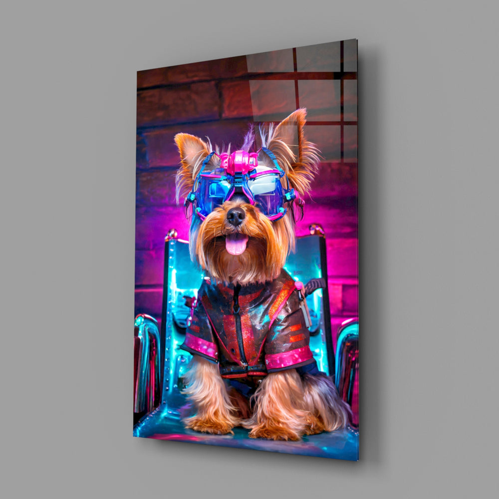 Hip Dog close-up showing Yorkie in neon eyeglasses and leather harness
