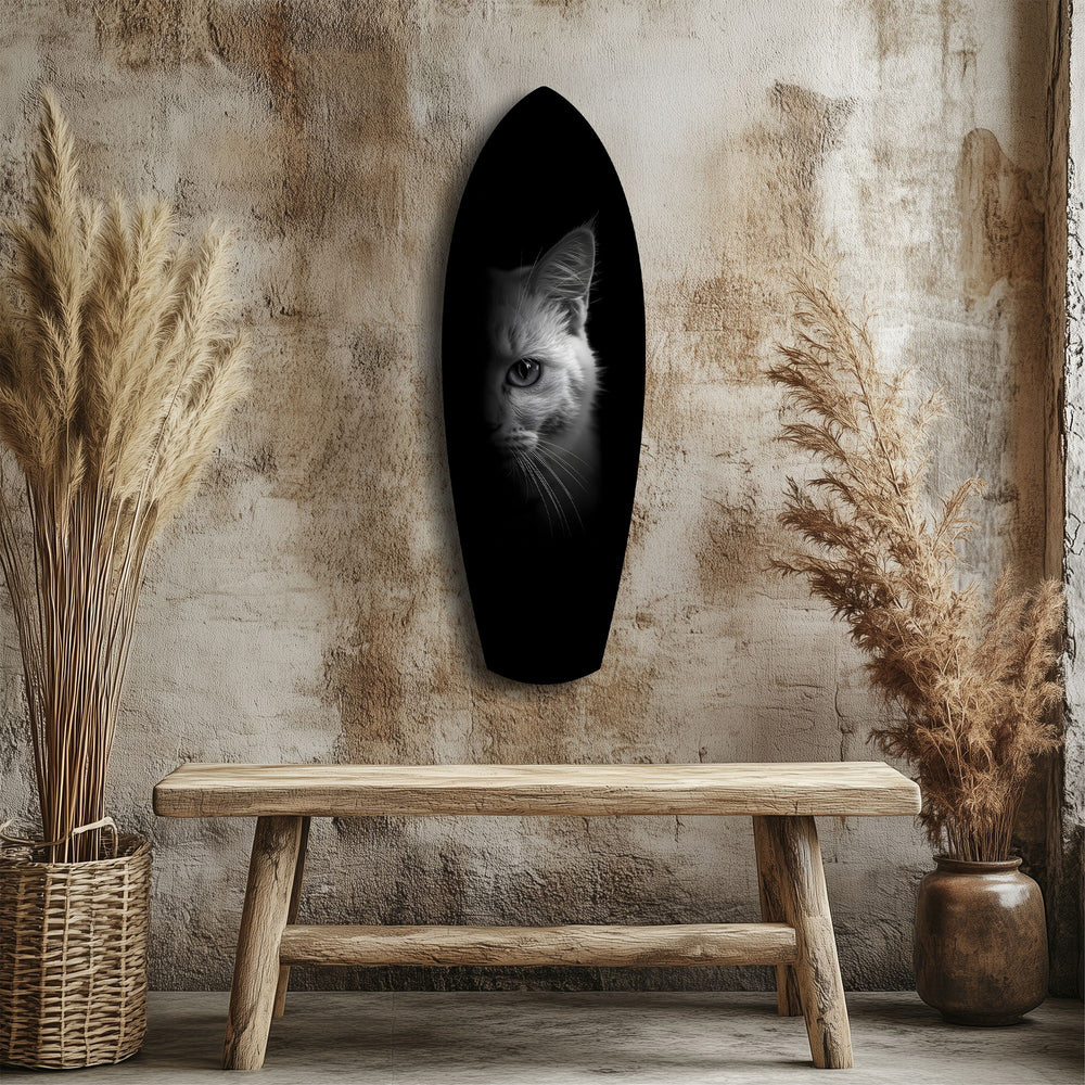 White Cat Half Face Black Background Glass Wall Art.