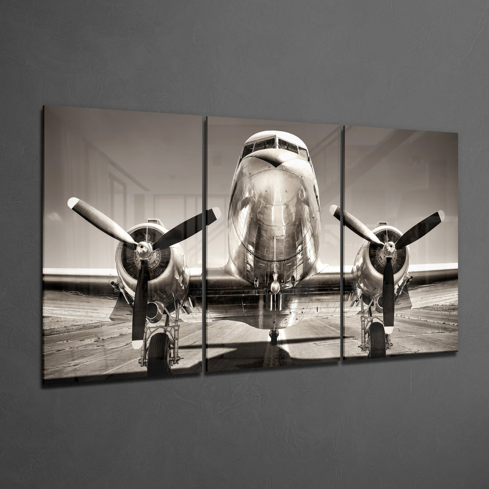 Plane Mega Glass Wall Art.
