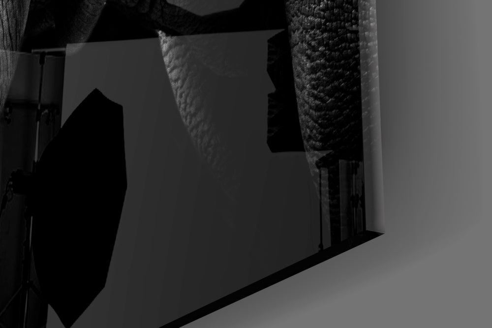 Rhino artwork anchoring a library with monochrome palette