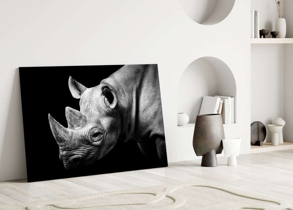 Close-up detail of the rhinoceros's wrinkled hide and curved horns