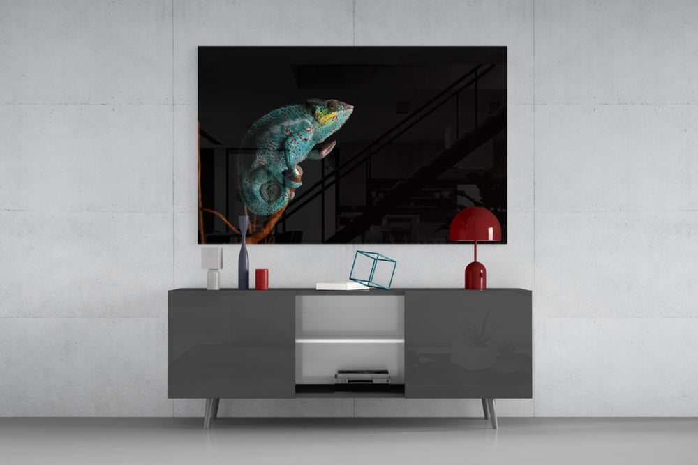 Chameleon panel catching low light to reveal its jewel-tone markings