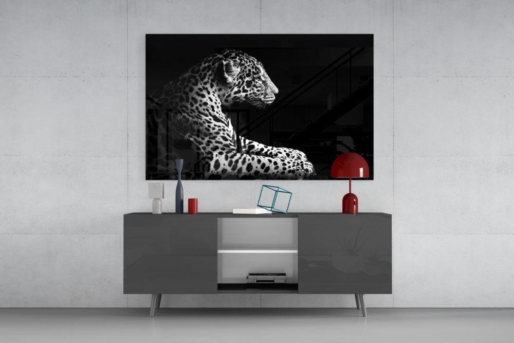 Leopard panel catching low light to reveal its rosette pattern