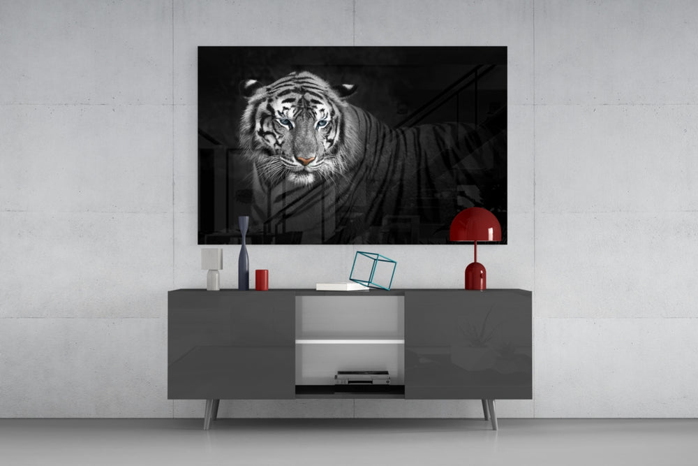 Tiger panel catching low light to reveal its tonal stripes