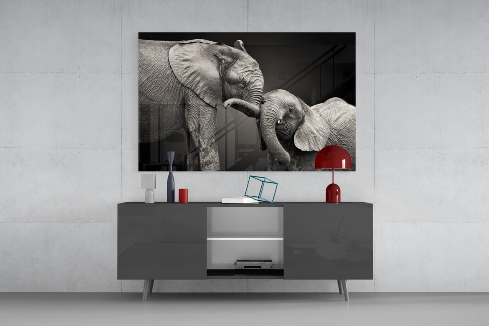 Elephants panel catching soft light to reveal its tonal hide