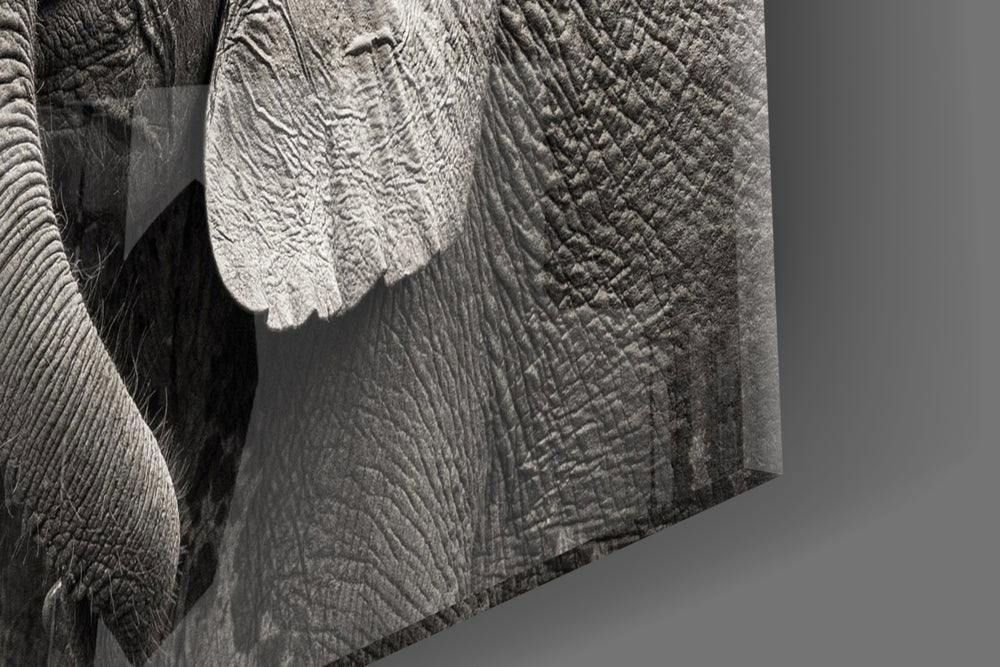 Elephants artwork anchoring a hallway with companionable palette