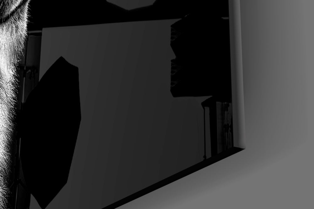 Lion artwork anchoring a library with monochrome palette