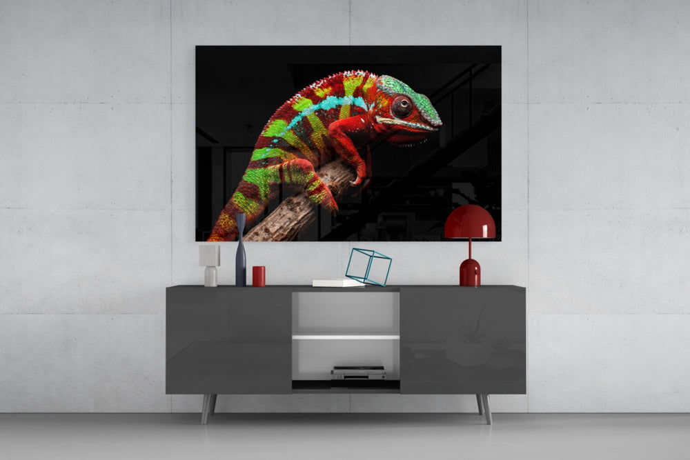 Chameleon panel catching low light to reveal its jewel-bright bands