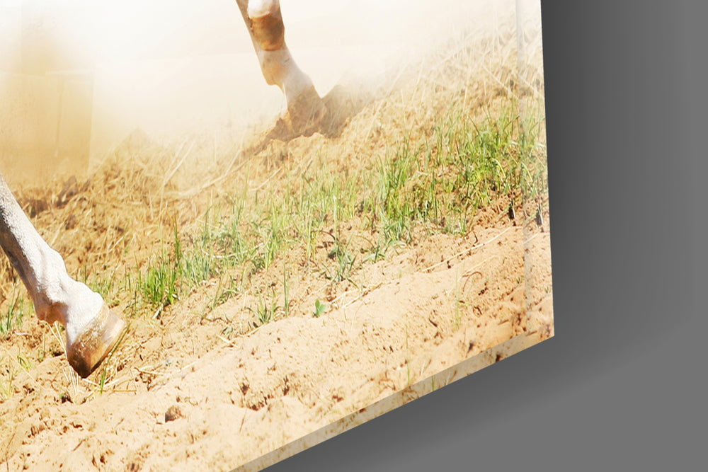 Running Horses artwork anchoring a country-modern wall in bright palette