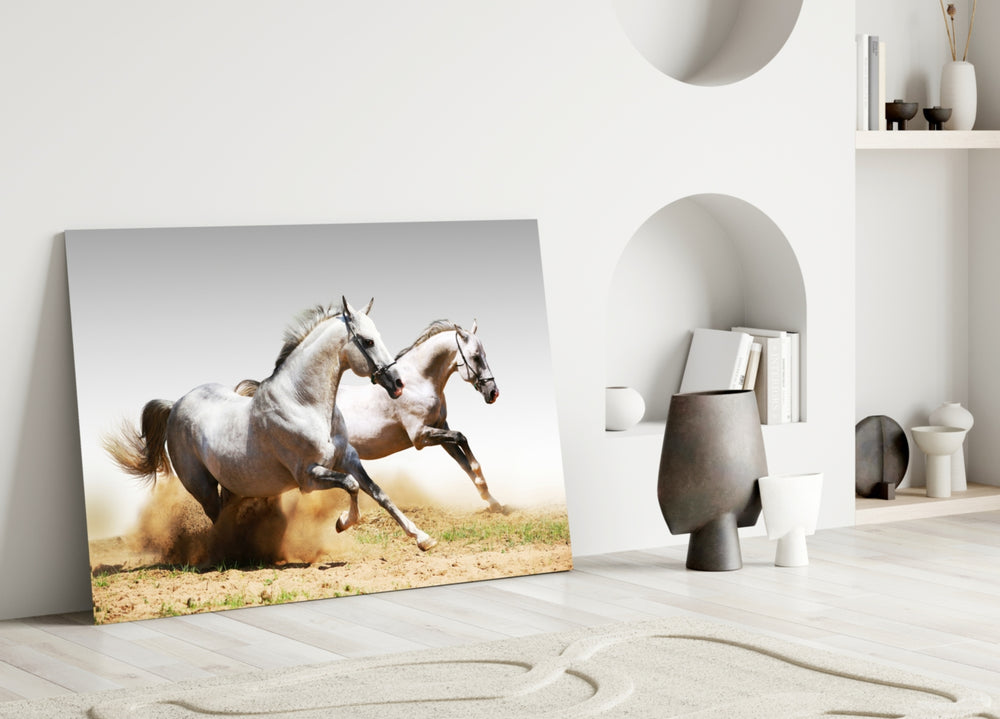 Close-up detail of two white horses kicking up golden dust