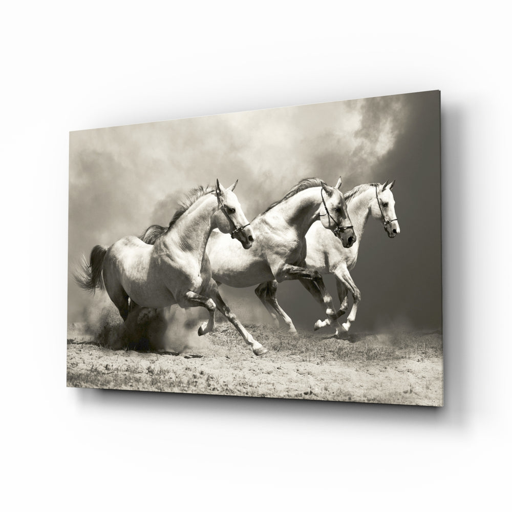 Running Horses glass wall art displayed above a console in a designer interior