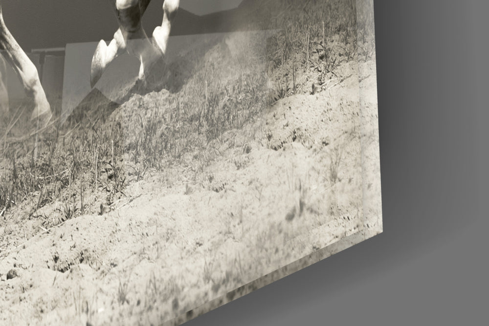 Running Horses artwork anchoring a country-modern wall in warm palette