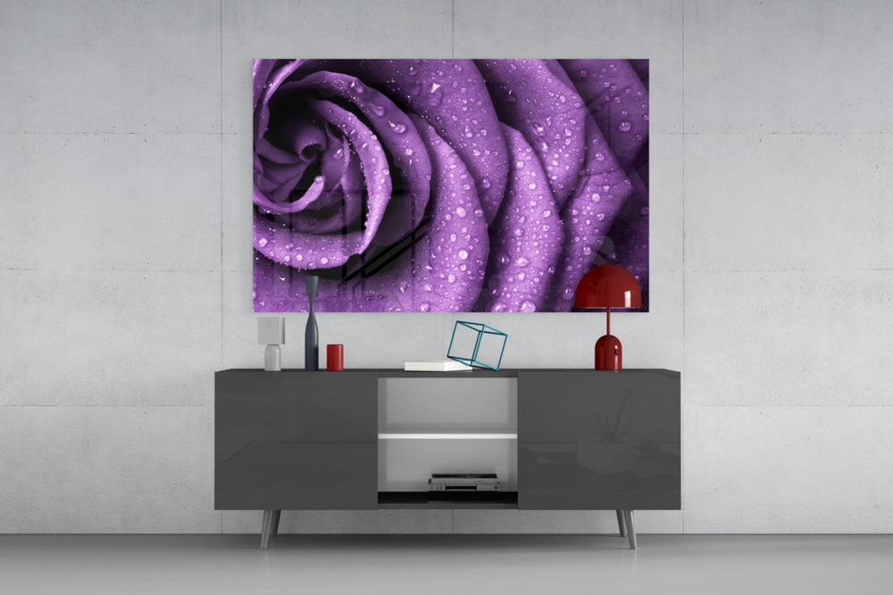 Purple Rose panel catching soft light to reveal its dewy petals