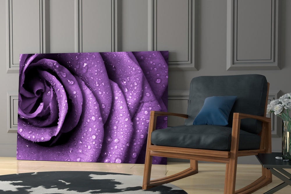 Purple Rose glass print enhancing a hallway with quiet drama