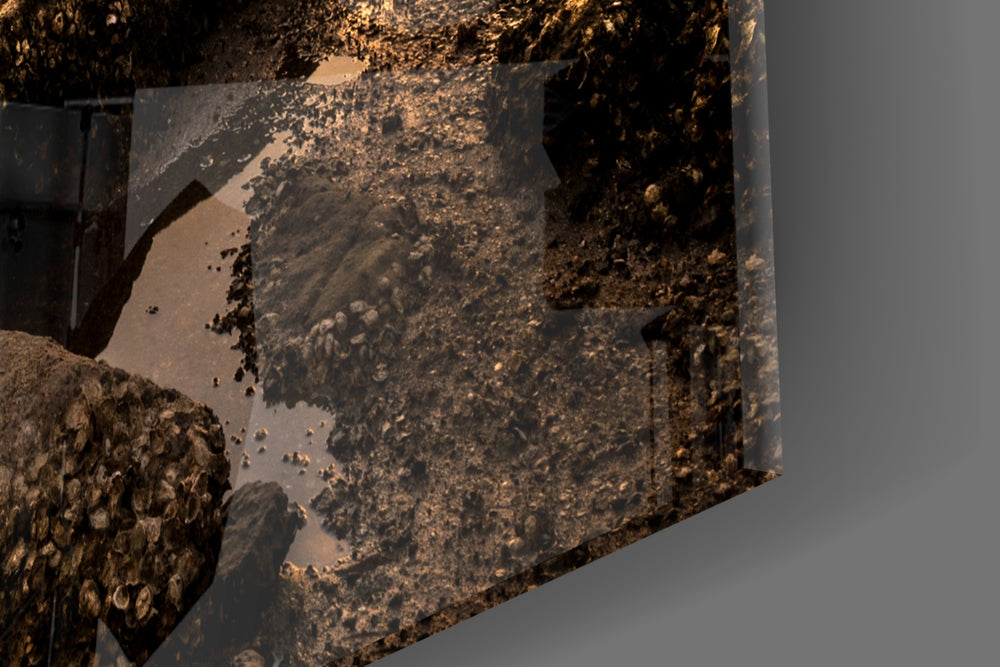 Ship Wreck artwork anchoring a maritime-themed wall in warm palette