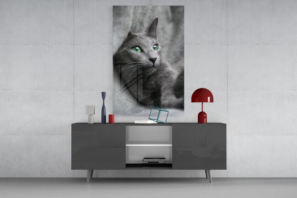 Cat panel catching soft light to reveal its green gaze