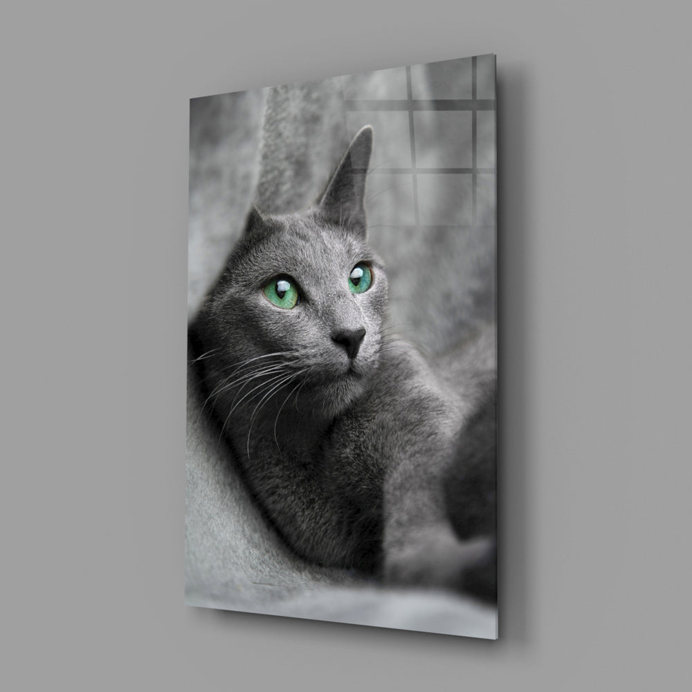 Green-eyed cat portrait bringing companionable warmth to a contemporary living space