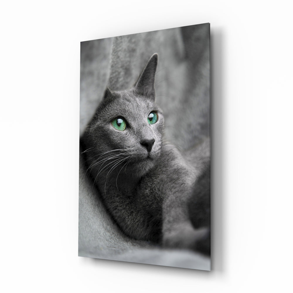 Cat glass wall art displayed above a console in a designer interior
