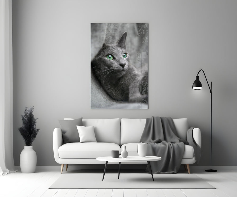 Close-up detail of the cat's emerald eyes against soft grey fur