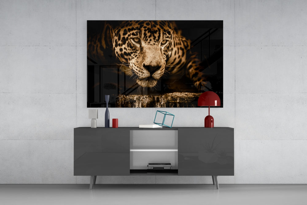 Leopard panel catching low light to reveal its rosette pattern