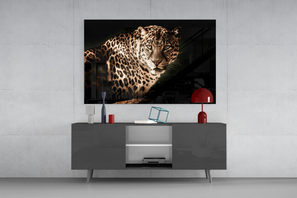 Leopard panel catching low light to reveal its rosette pattern