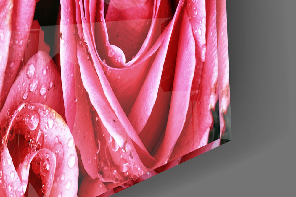 Pink Rose artwork anchoring a romantic-themed wall in jewel-tone palette